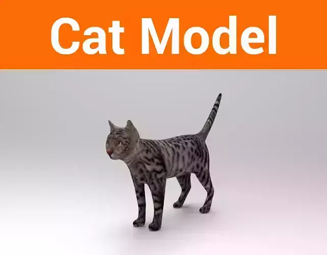 3D Pet Cat Model  Low-poly 3D model
