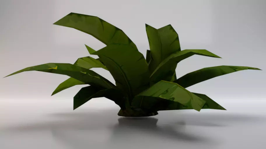 Dusty Plant Low-poly 3D model