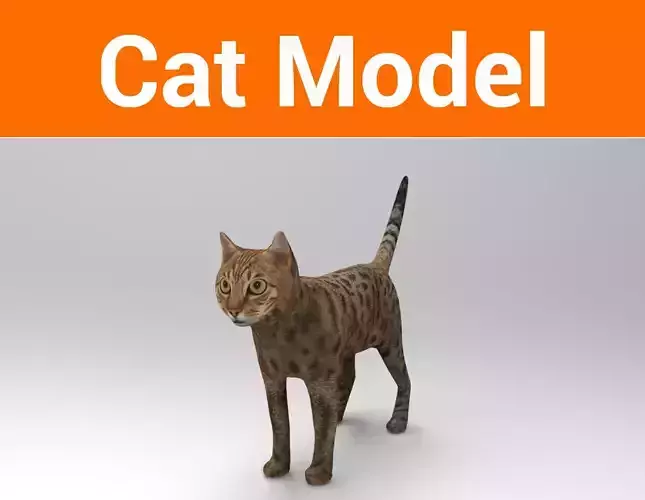 3D Cat game ready low poly model bengal