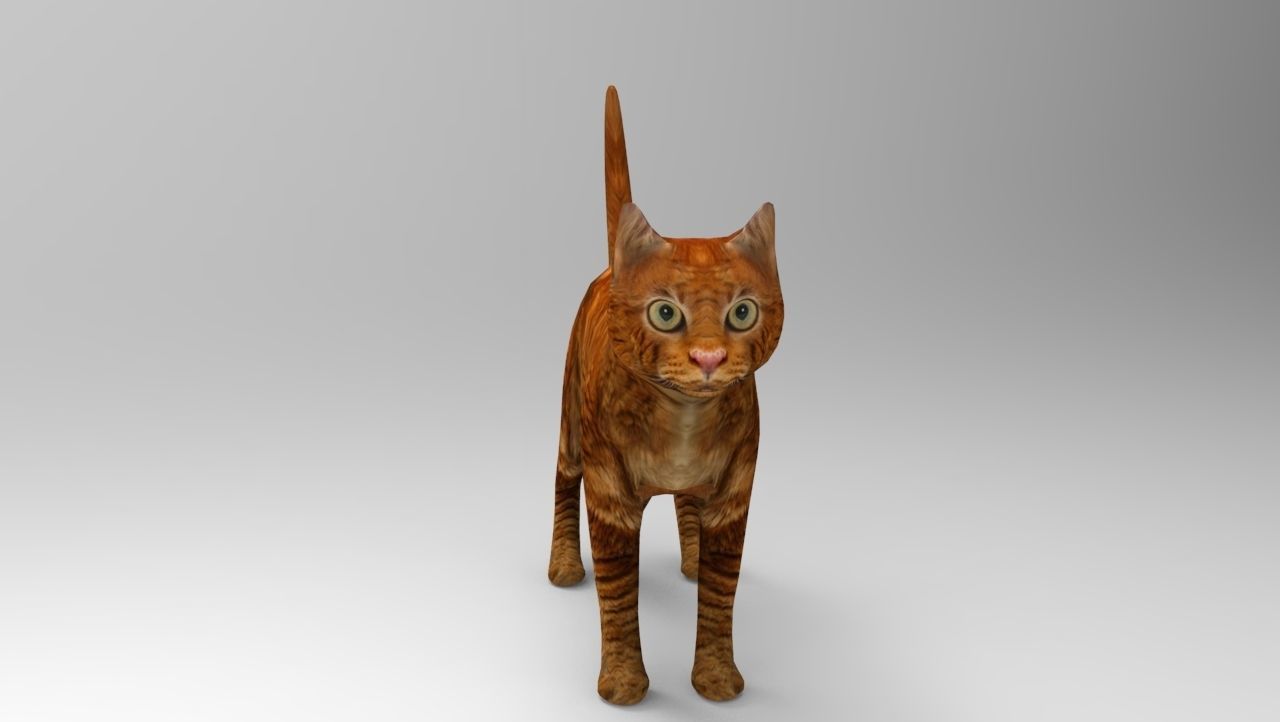 Cat game ready low poly model 3D orange Low-poly 3D model_10