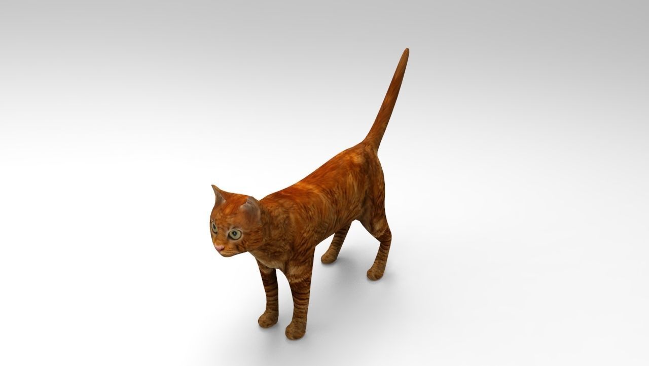 Cat game ready low poly model 3D orange Low-poly 3D model_12