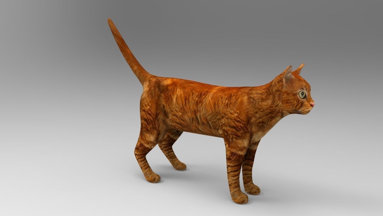 Cat game ready low poly model 3D orange Low-poly 3D model_8