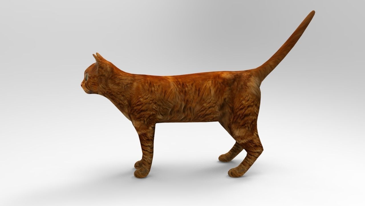 Cat game ready low poly model 3D orange Low-poly 3D model_1