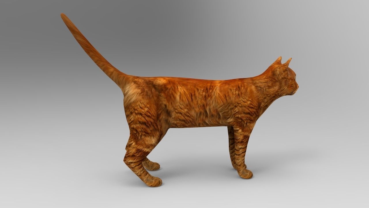 Cat game ready low poly model 3D orange Low-poly 3D model_7