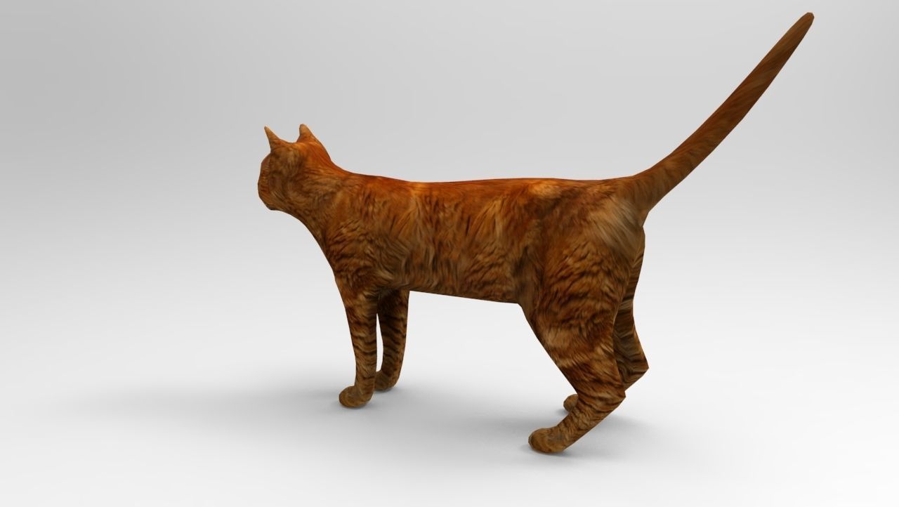 Cat game ready low poly model 3D orange Low-poly 3D model_2
