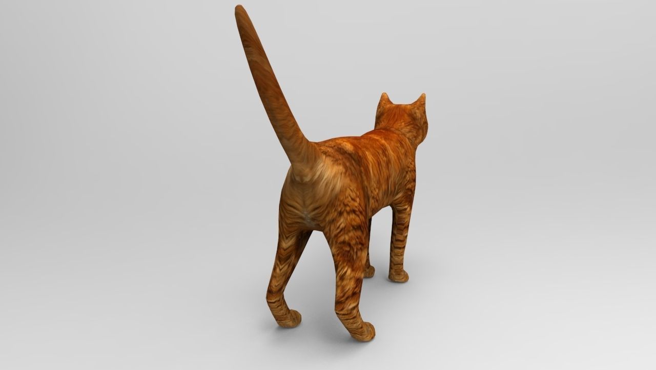 Cat game ready low poly model 3D orange Low-poly 3D model_5