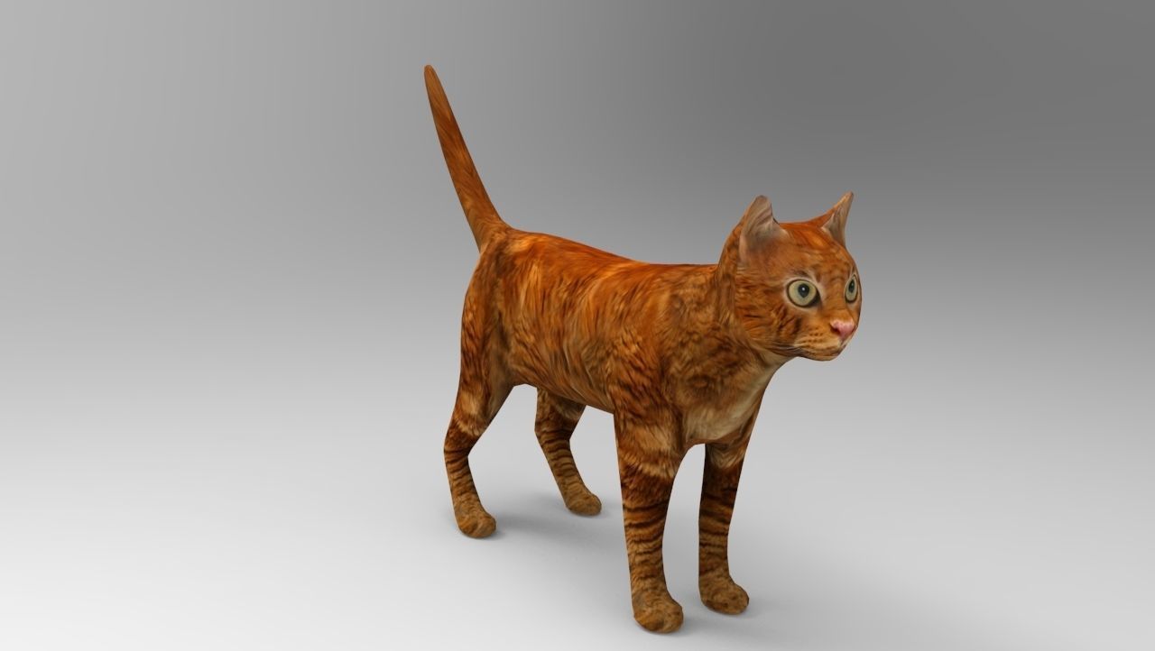 Cat game ready low poly model 3D orange Low-poly 3D model_9
