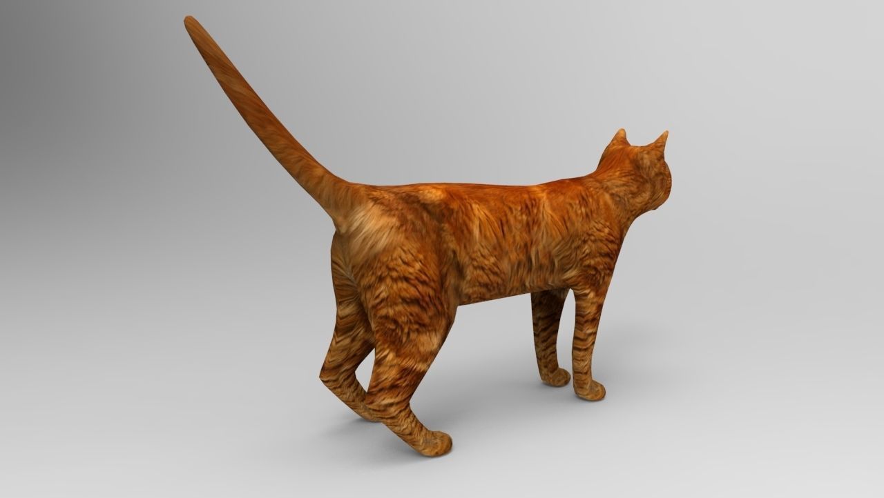 Cat game ready low poly model 3D orange Low-poly 3D model_6