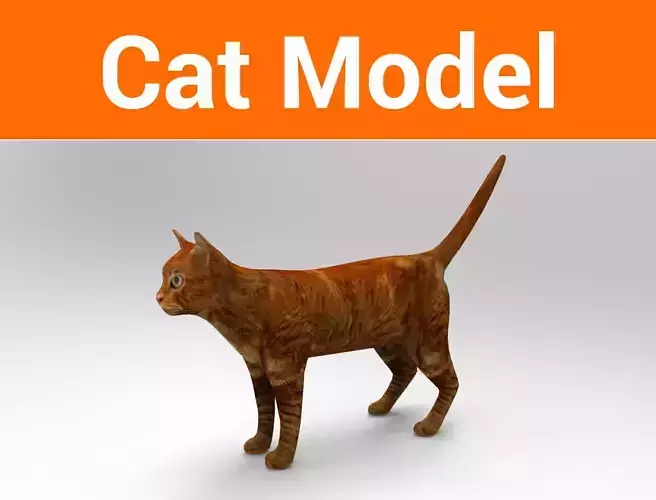 Cat game ready low poly model 3D orange