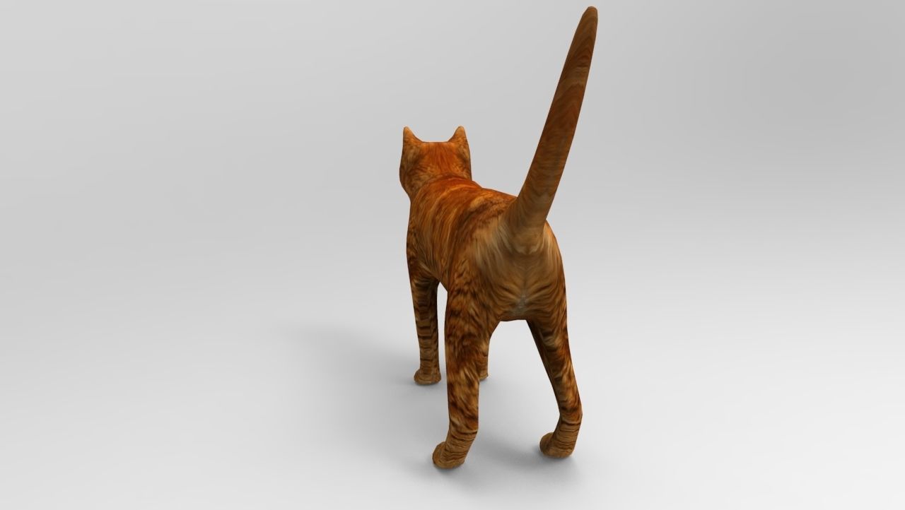Cat game ready low poly model 3D orange Low-poly 3D model_4