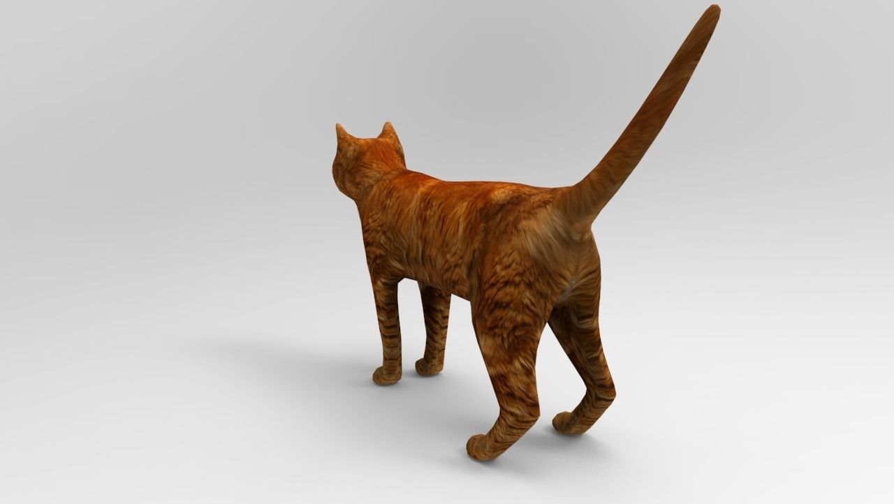 Cat game ready low poly model 3D orange Low-poly 3D model_3