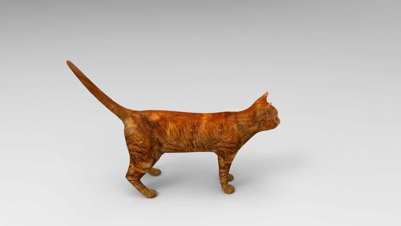 Cat game ready low poly model 3D orange Low-poly 3D model_13
