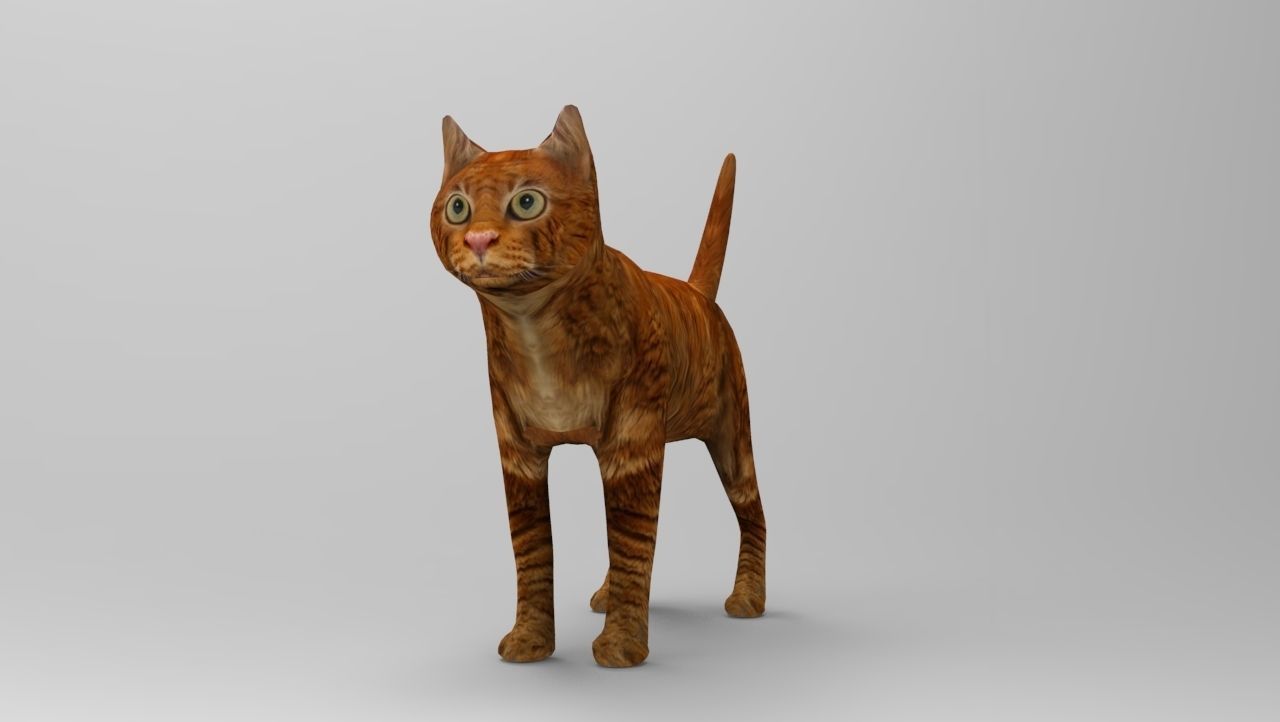 Cat game ready low poly model 3D orange Low-poly 3D model_11