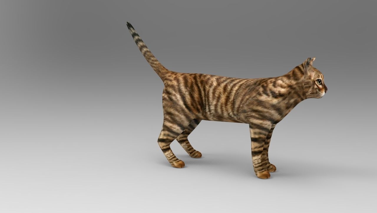 3d Cat wild low poly model Low-poly 3D model_8