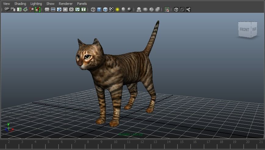 3d Cat wild low poly model Low-poly 3D model_23