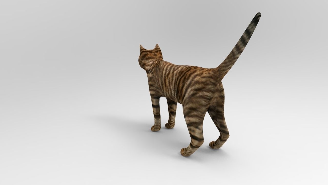 3d Cat wild low poly model Low-poly 3D model_4