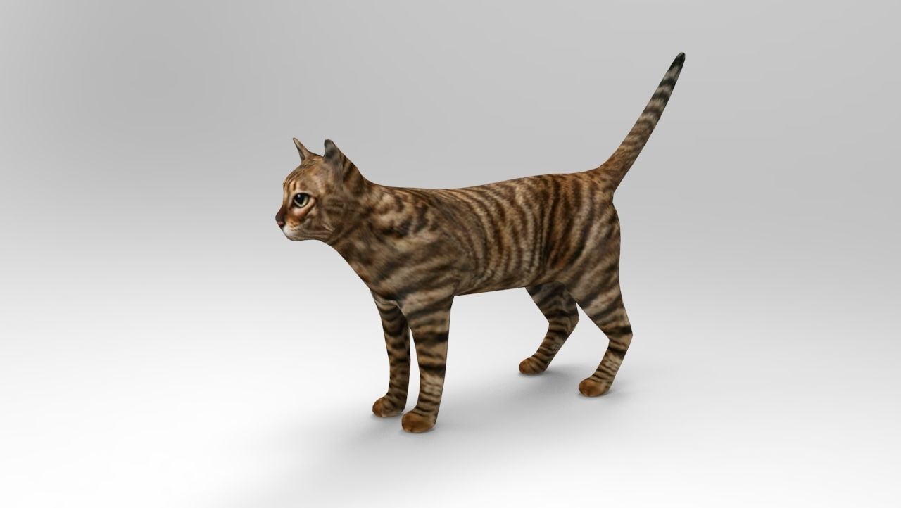 3d Cat wild low poly model Low-poly 3D model_1