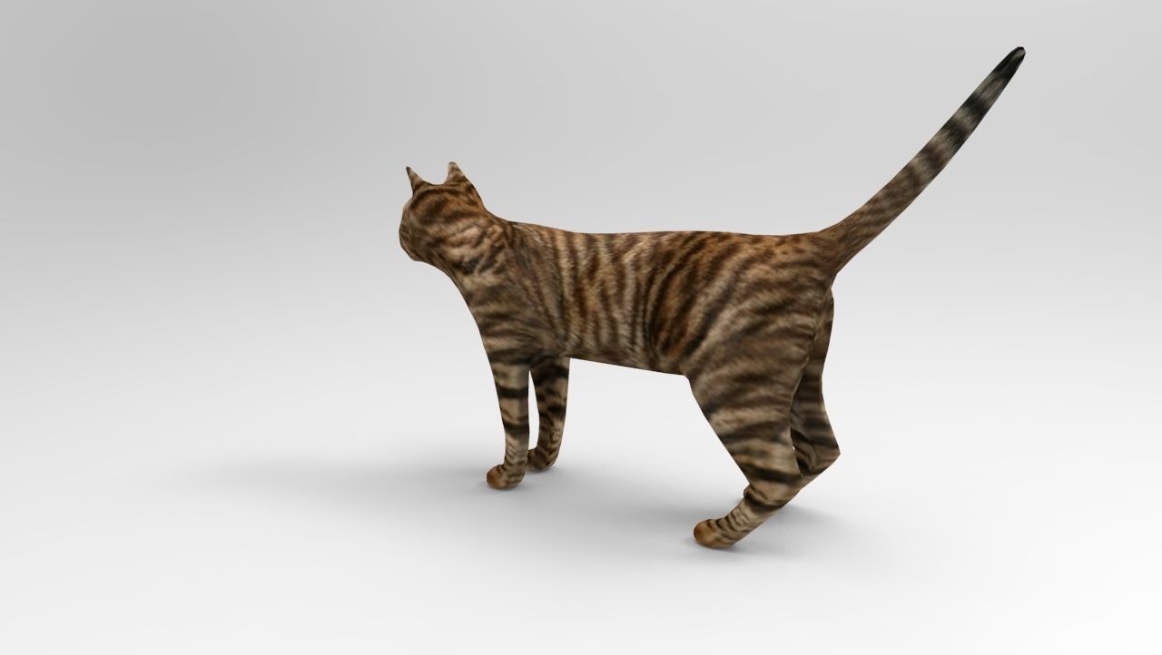 3d Cat wild low poly model Low-poly 3D model_3