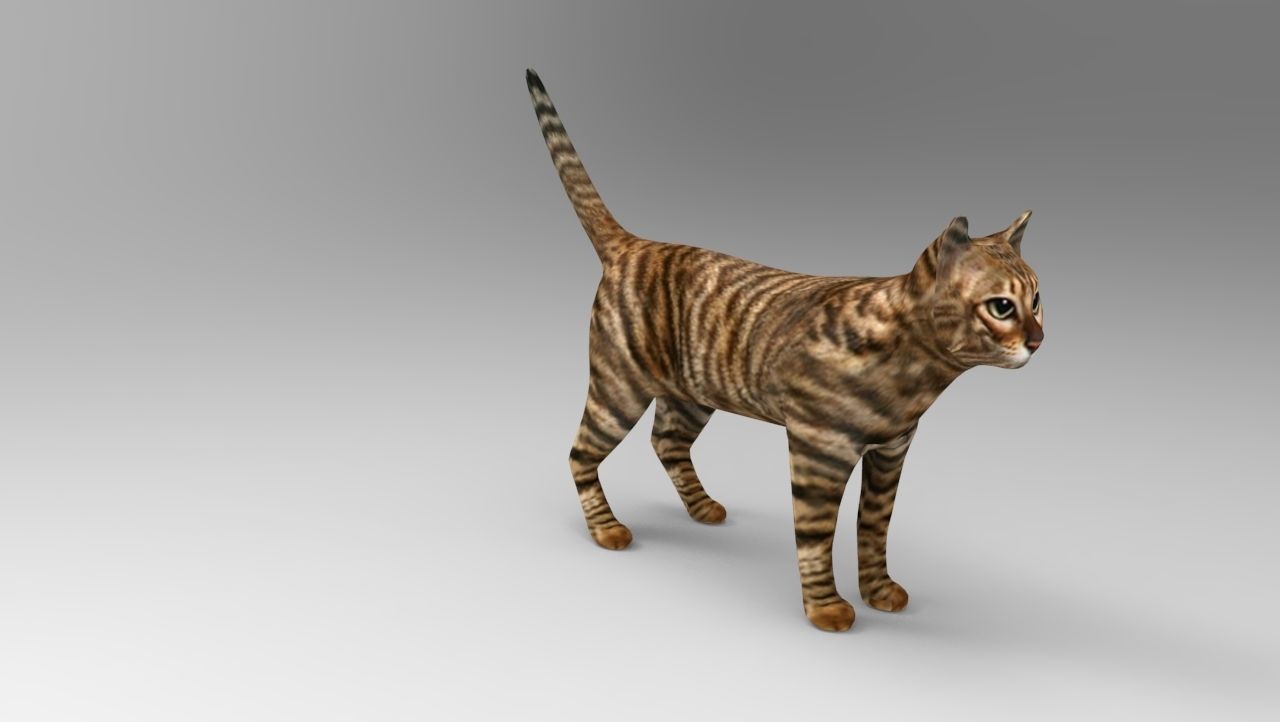 3d Cat wild low poly model Low-poly 3D model_9