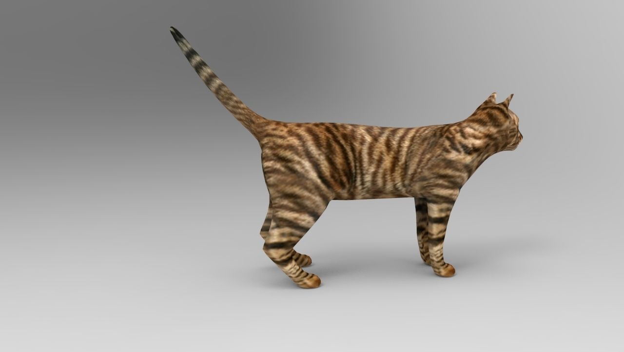 3d Cat wild low poly model Low-poly 3D model_7