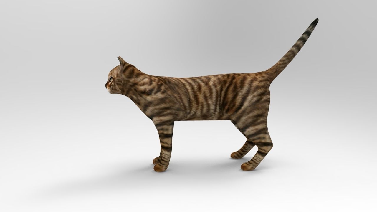 3d Cat wild low poly model Low-poly 3D model_2