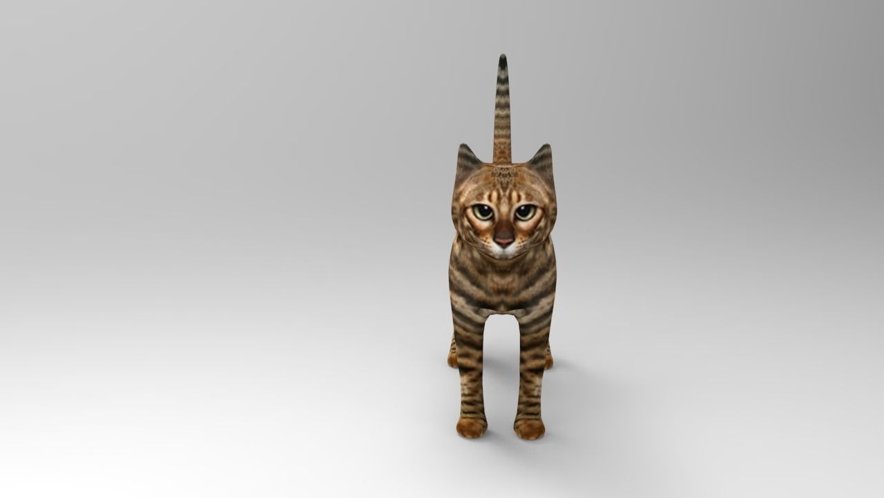 3d Cat wild low poly model Low-poly 3D model_10