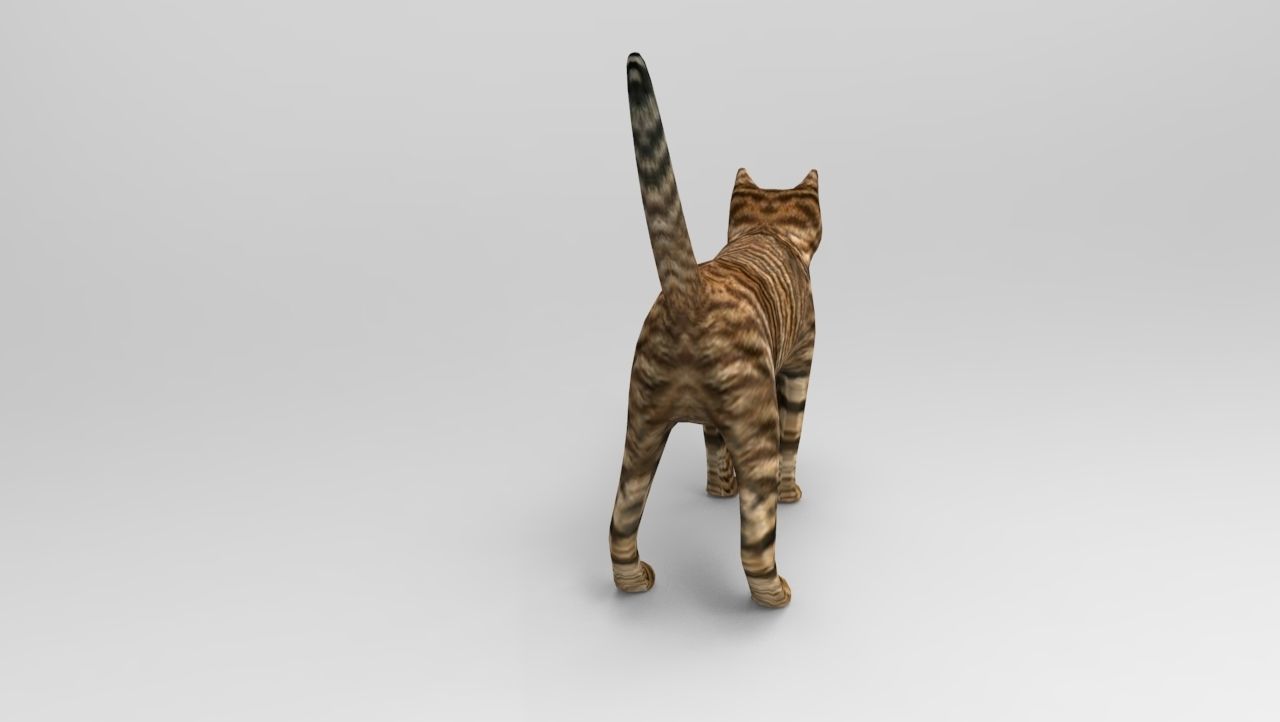 3d Cat wild low poly model Low-poly 3D model_5