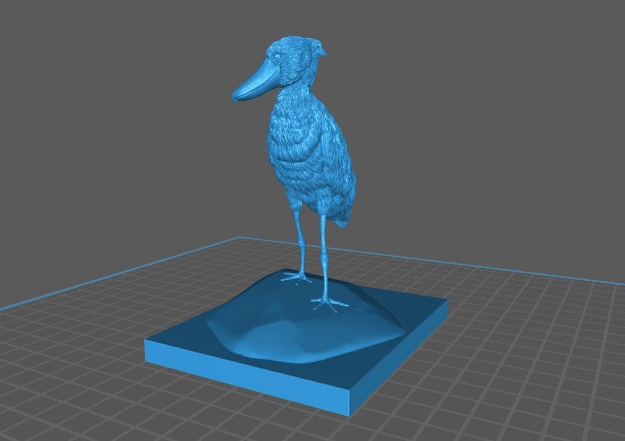 Shoebill bird 3d model for 3d printing 3D print model_6