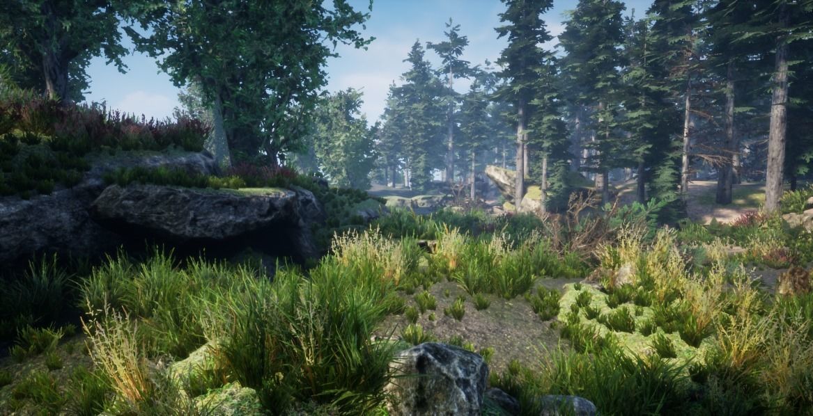 Forest Environnement Low-poly 3D model_1