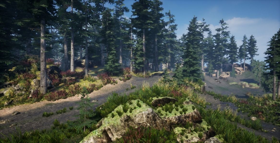 Forest Environnement Low-poly 3D model_2