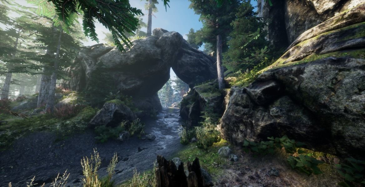 Forest Environnement Low-poly 3D model_3