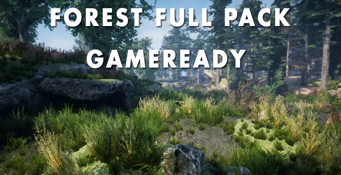 Forest Environnement Low-poly 3D model_0