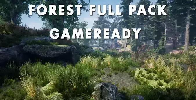 Forest Environnement