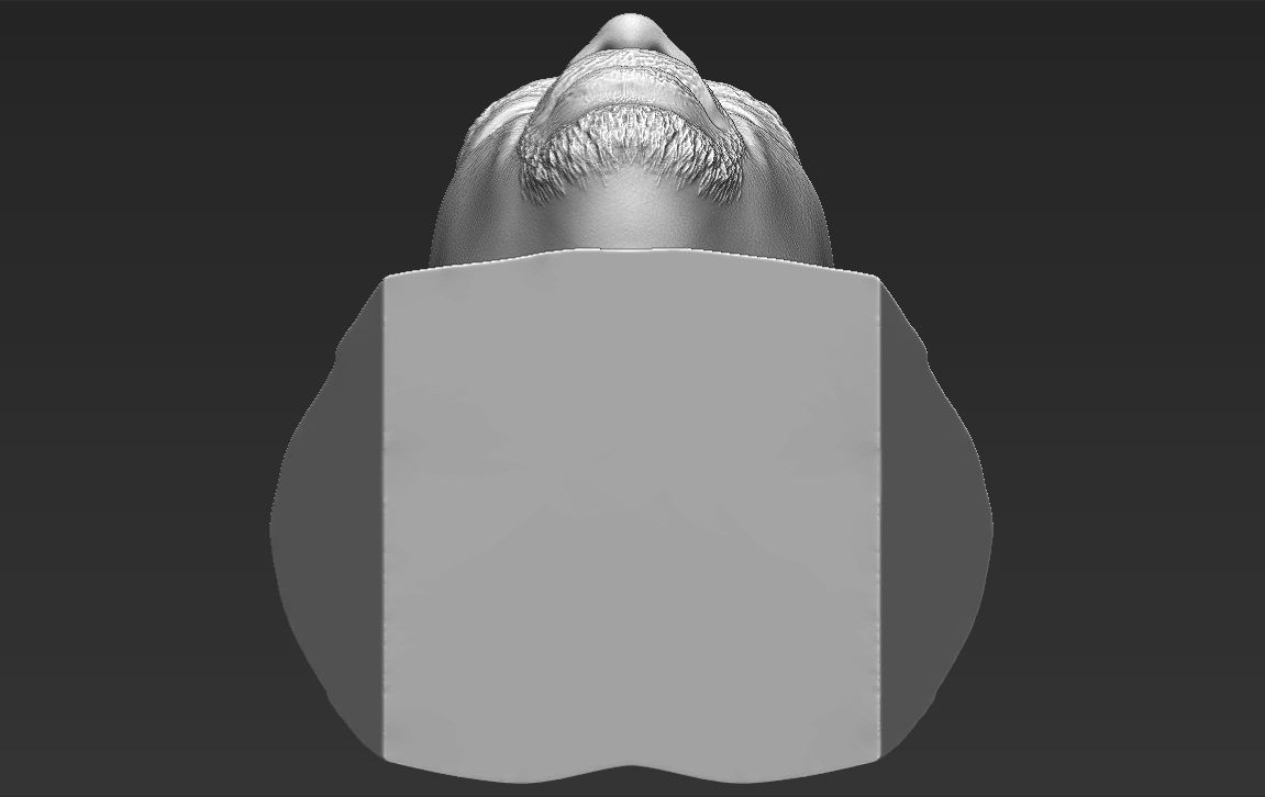 Kareem Abdul-Jabbar bust 3D printing ready stl obj formats 3D print model_25