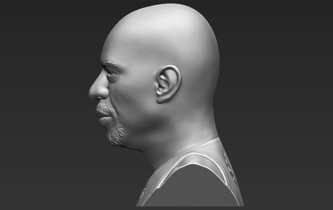 Kareem Abdul-Jabbar bust 3D printing ready stl obj formats 3D print model_9
