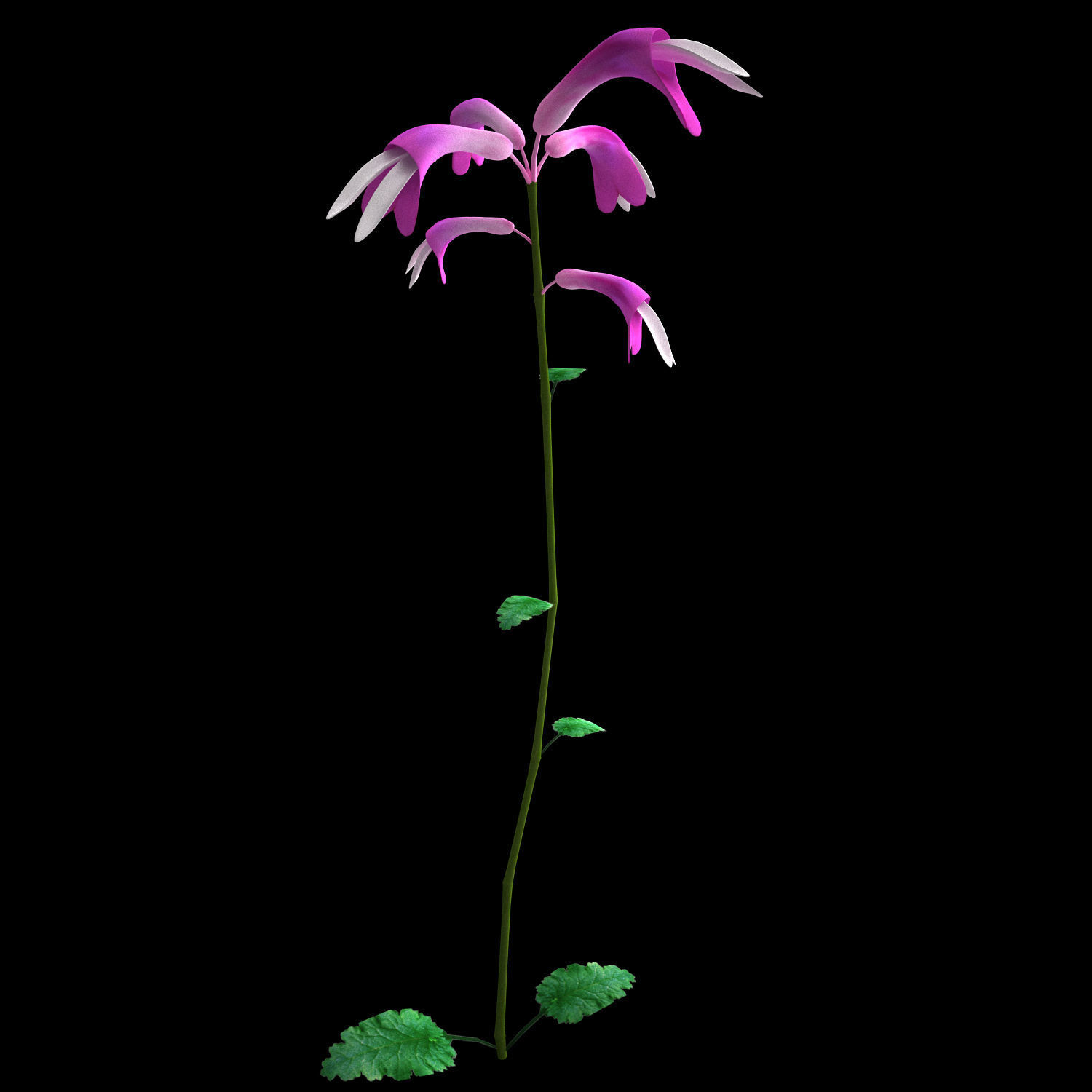 ANIMATED FLOWERS COLLECTION 3D model_23