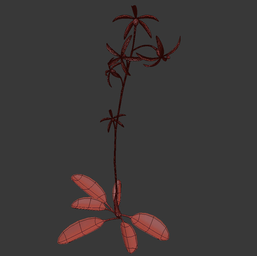 ANIMATED FLOWERS COLLECTION 3D model_27