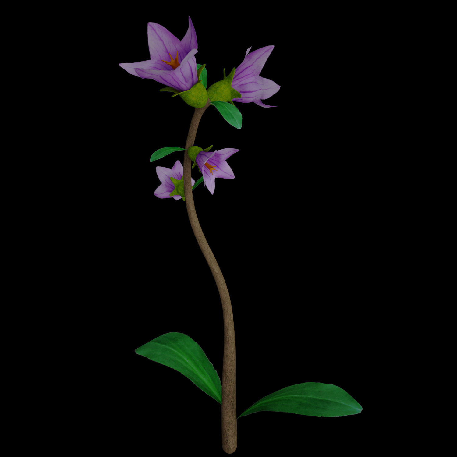 ANIMATED FLOWERS COLLECTION 3D model_31