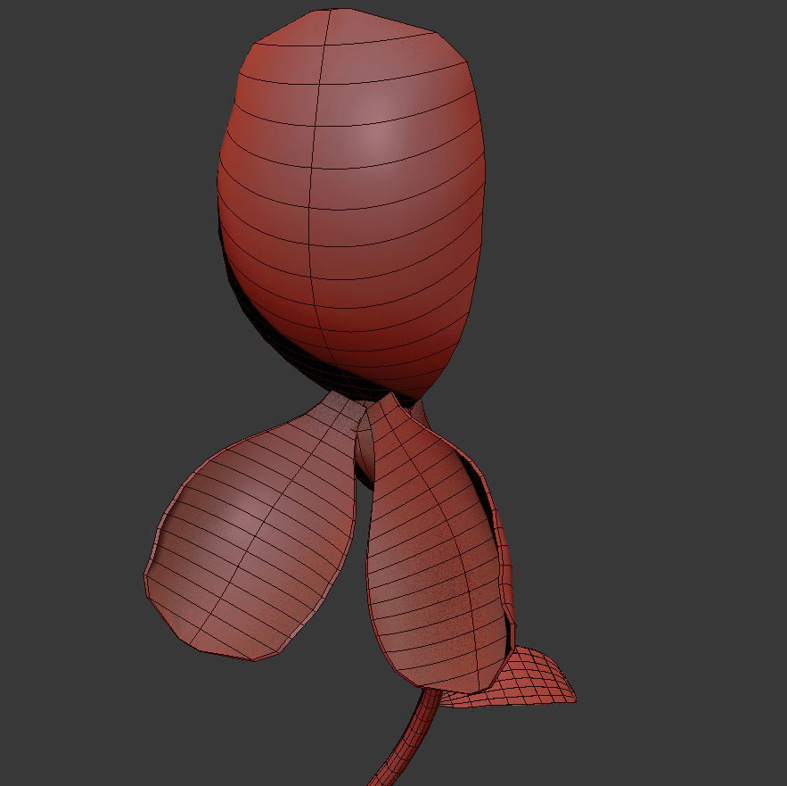 ANIMATED FLOWERS COLLECTION 3D model_50