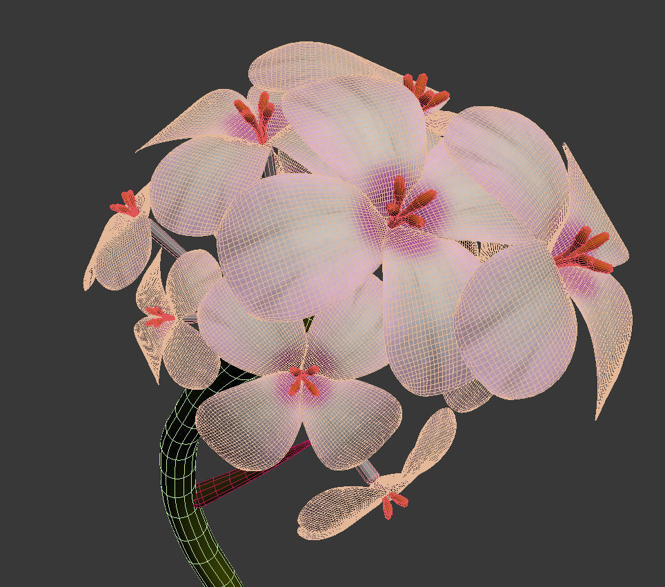 ANIMATED FLOWERS COLLECTION 3D model_16