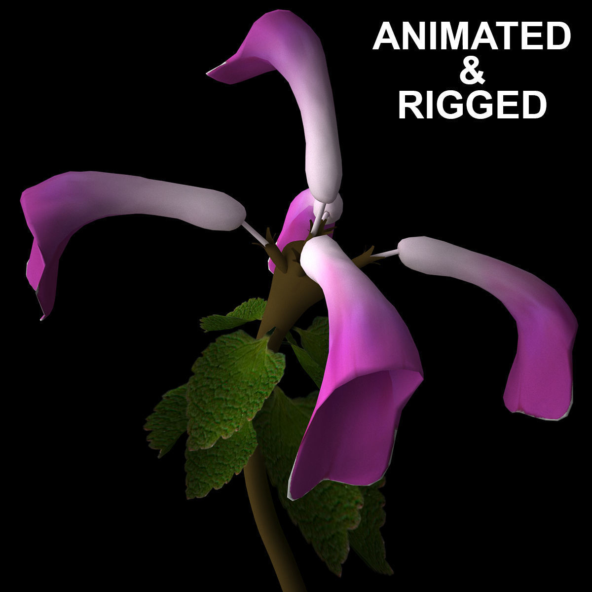 ANIMATED FLOWERS COLLECTION 3D model_10