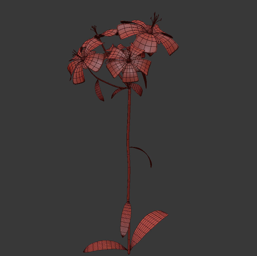 ANIMATED FLOWERS COLLECTION 3D model_38