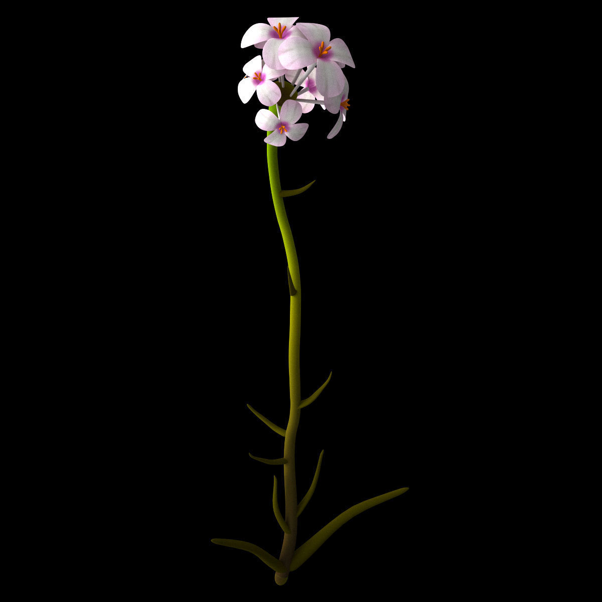 ANIMATED FLOWERS COLLECTION 3D model_15
