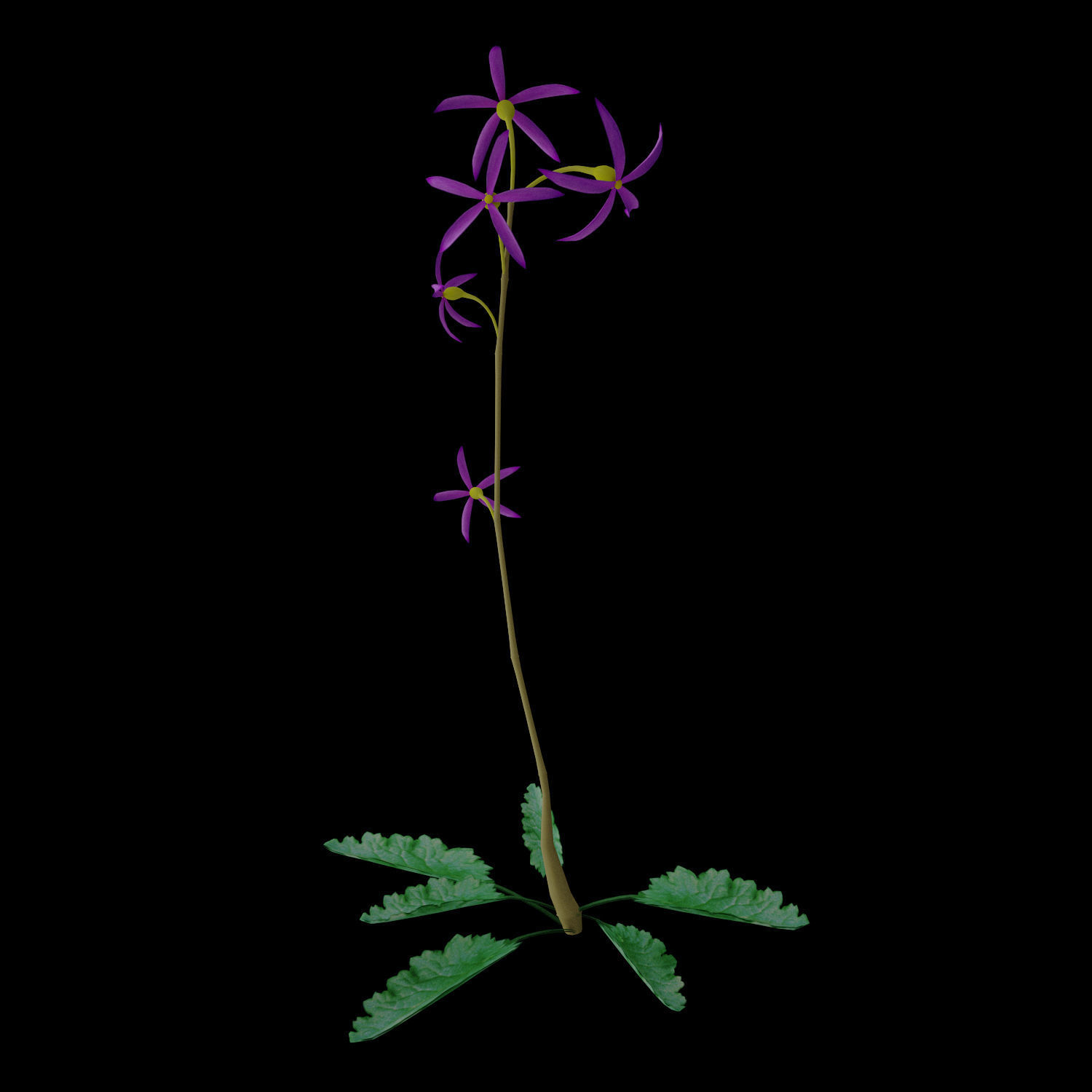 ANIMATED FLOWERS COLLECTION 3D model_28