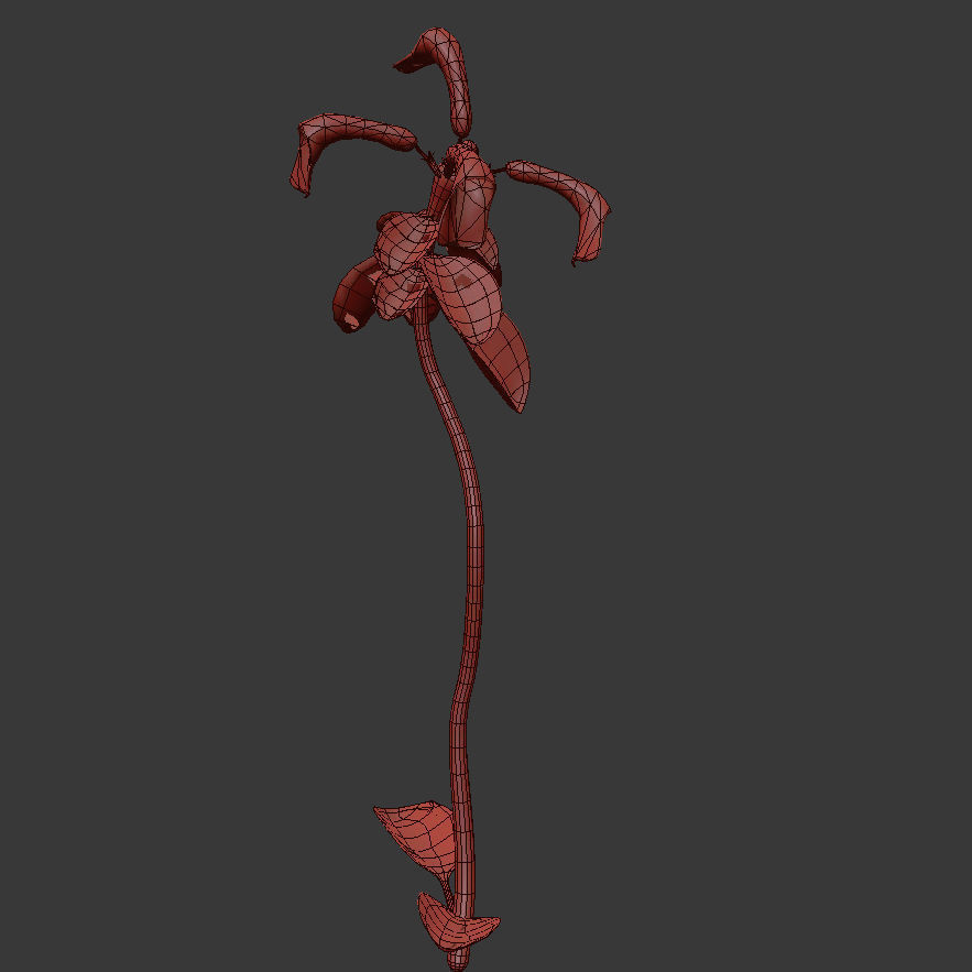 ANIMATED FLOWERS COLLECTION 3D model_47