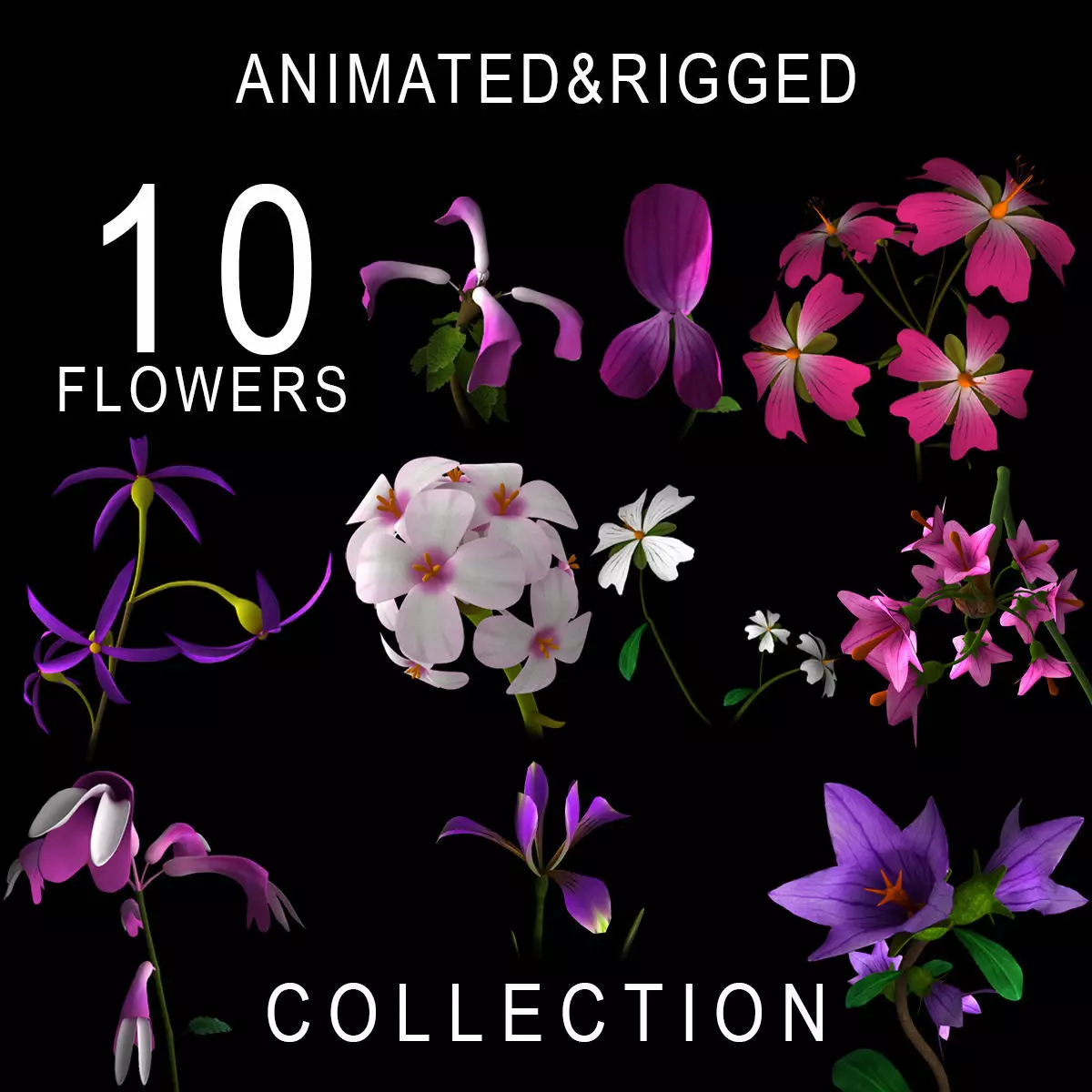 ANIMATED FLOWERS COLLECTION 3D model_0