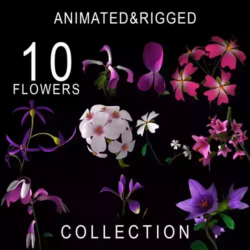 ANIMATED FLOWERS COLLECTION  3D model