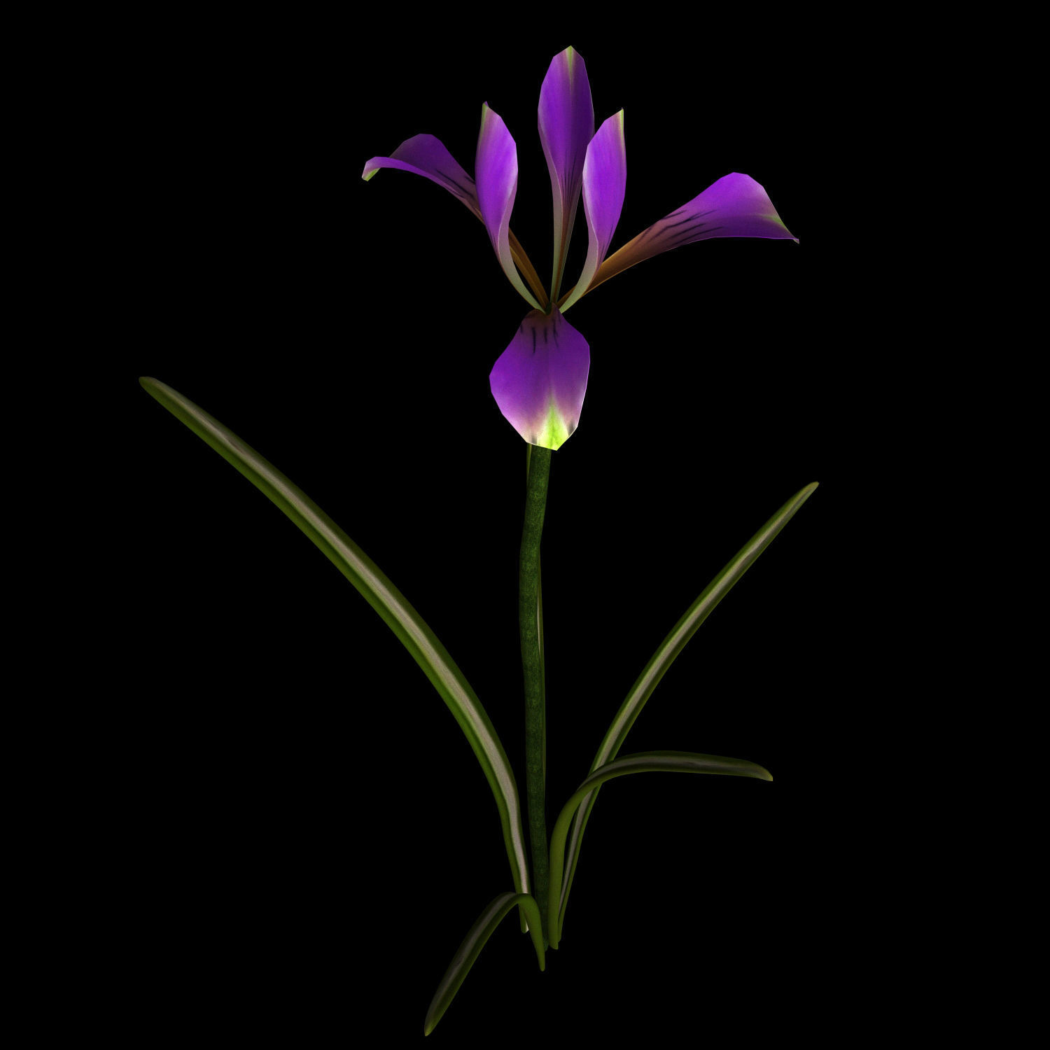 ANIMATED FLOWERS COLLECTION 3D model_44
