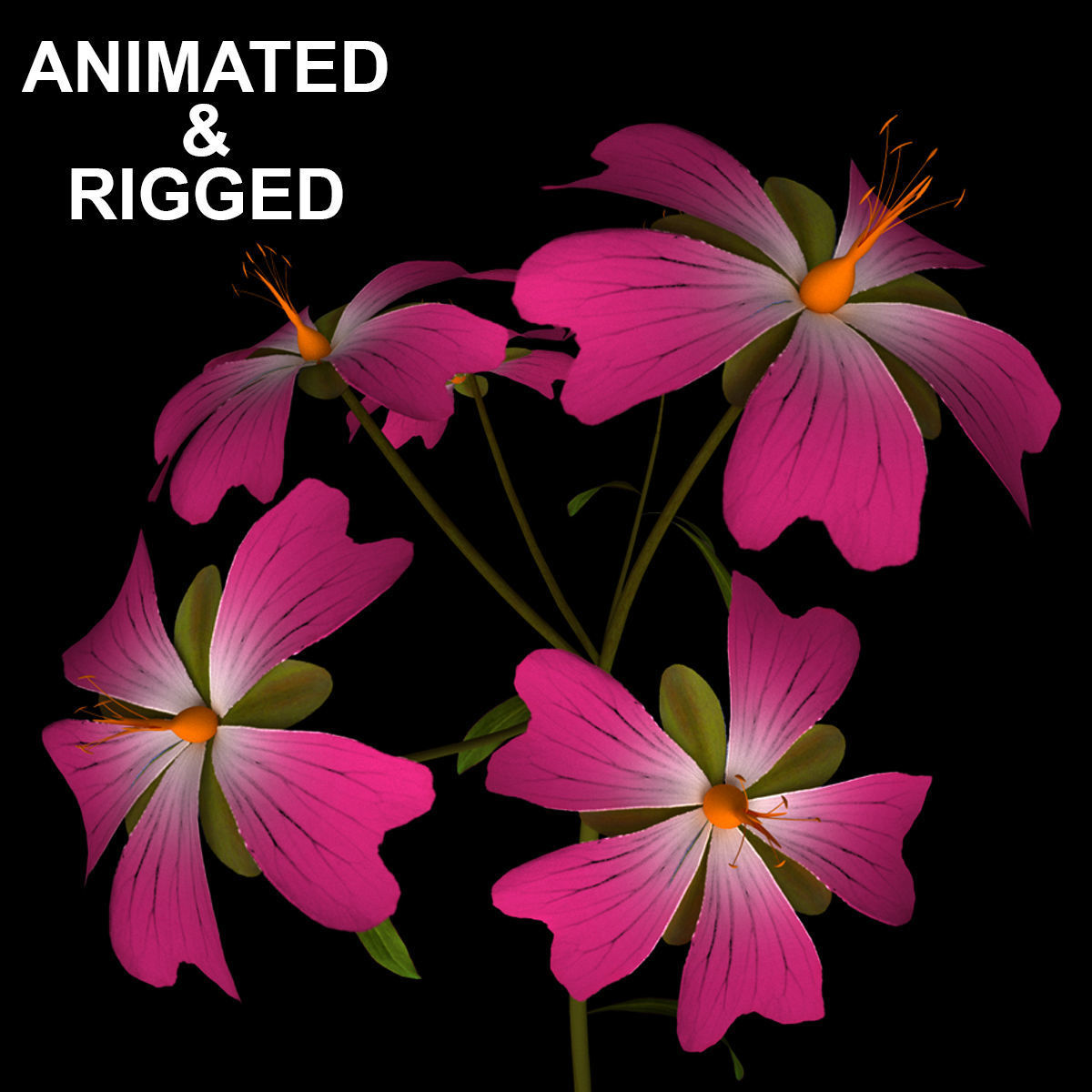 ANIMATED FLOWERS COLLECTION 3D model_3