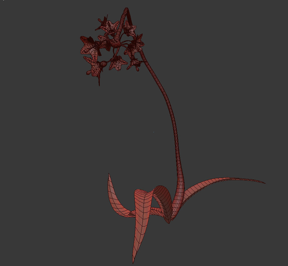 ANIMATED FLOWERS COLLECTION 3D model_19